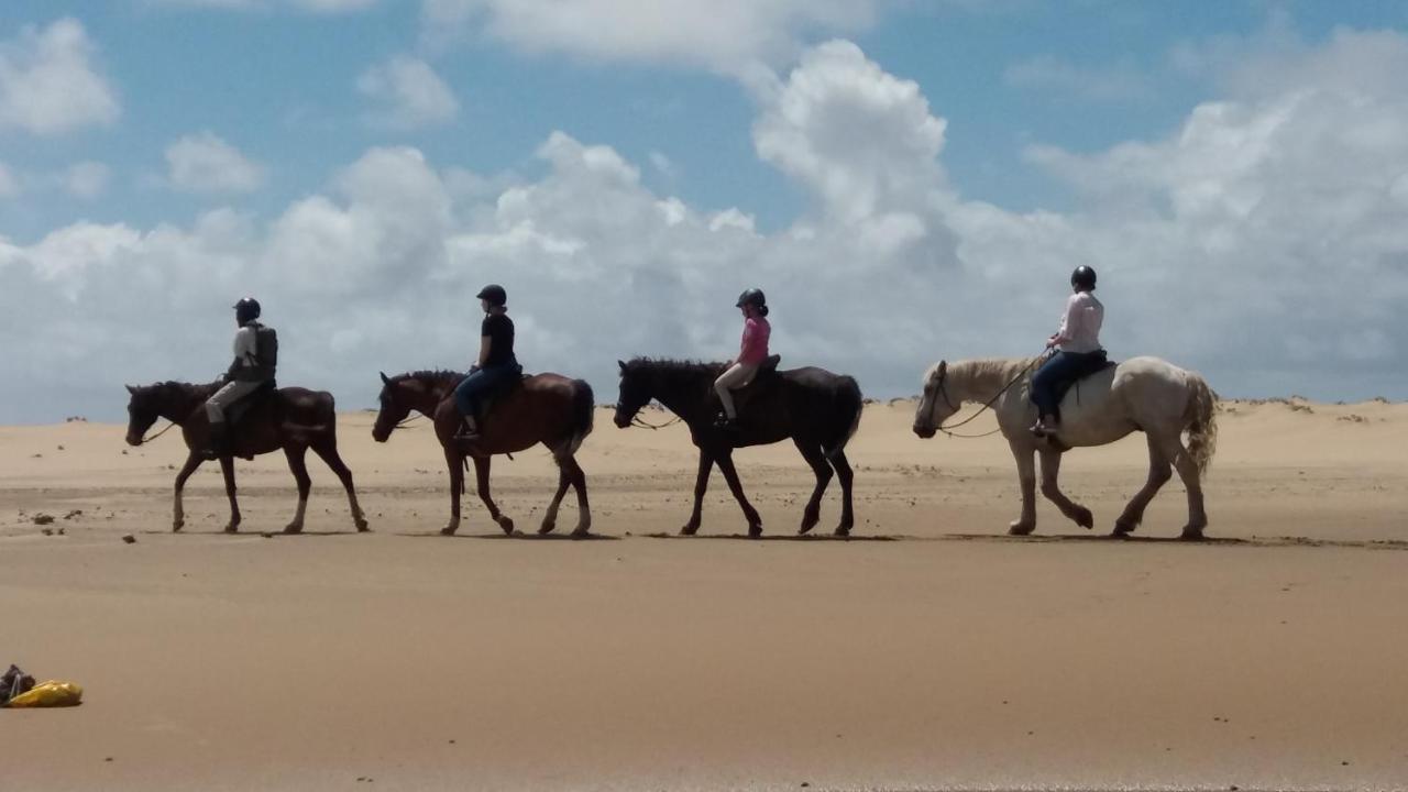 Saint Lucia Estuary Manzini Chalet No 34 מראה חיצוני תמונה